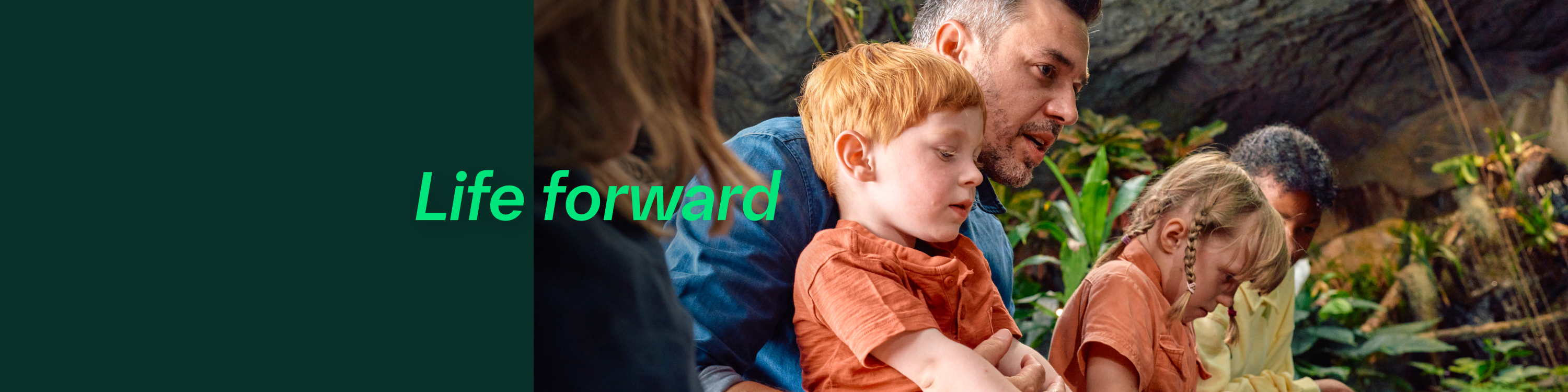 Boehringer Ingelheim RCV GmbH & Co KG-cover-image